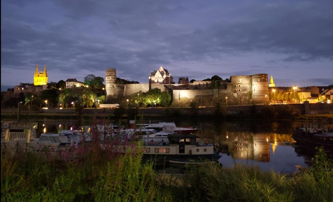 Le Chateau Angers Extérieur photo