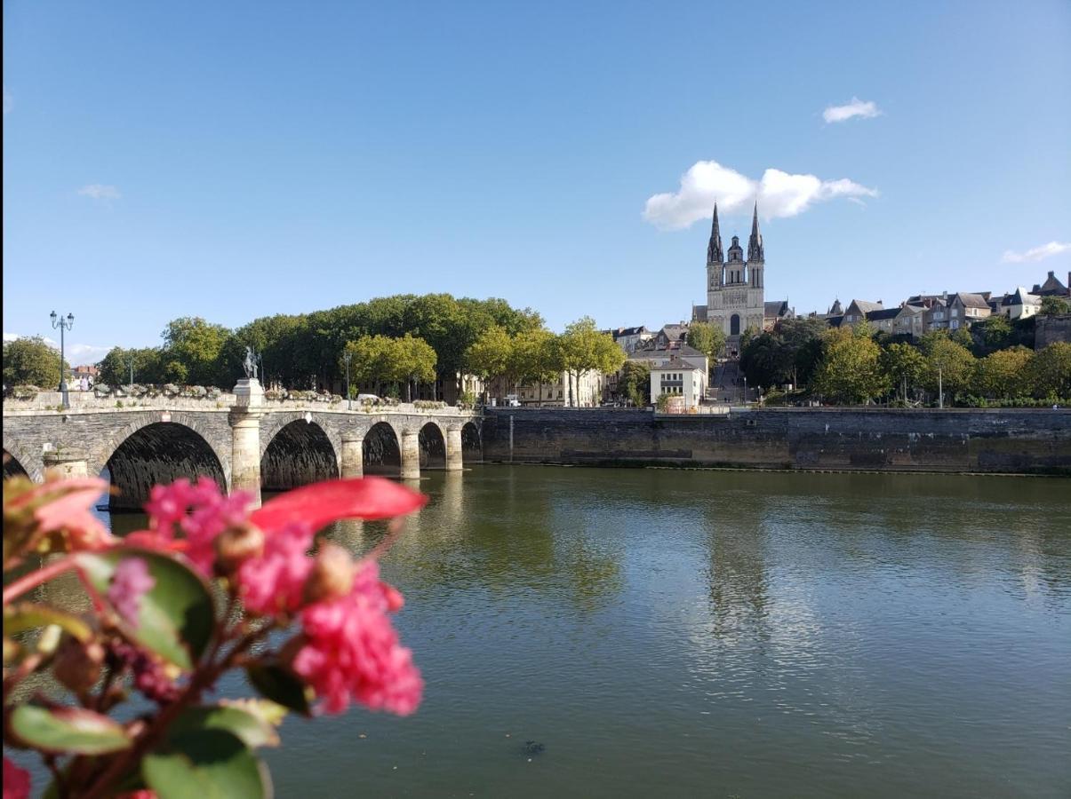 Le Chateau Angers Extérieur photo