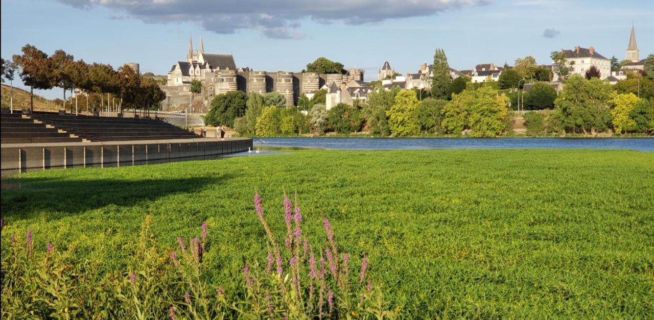 Le Chateau Angers Extérieur photo